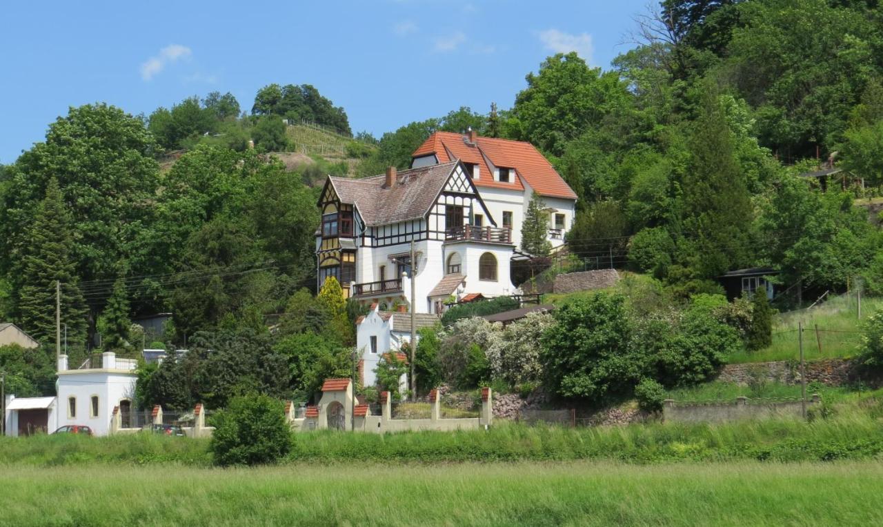 Ferienhaus Elbsommer Am Weinberg II Meißen Zewnętrze zdjęcie